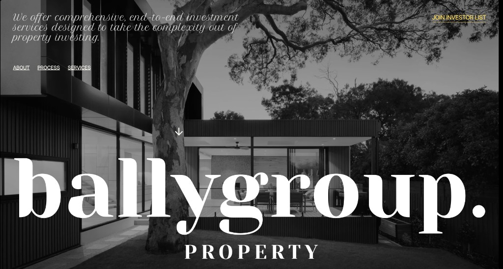 BallyGroup project screenshot
