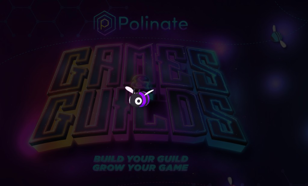 Polinate Games & Guilds project screenshot